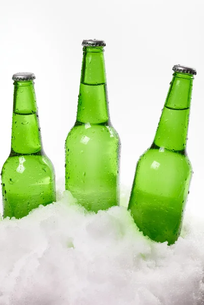 Bottiglie di birra sulla neve — Foto Stock