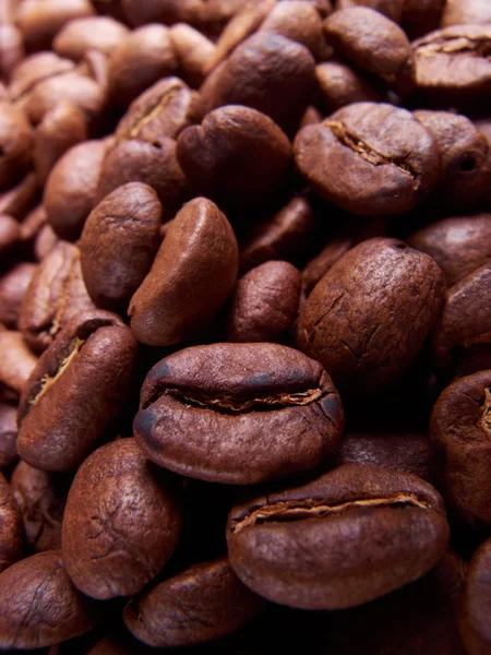 Coffee beans — Stock Photo, Image