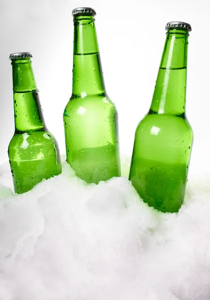 Beer bottles in snow — Stock Photo, Image