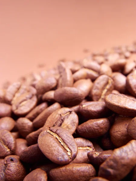 Coffee beans — Stock Photo, Image