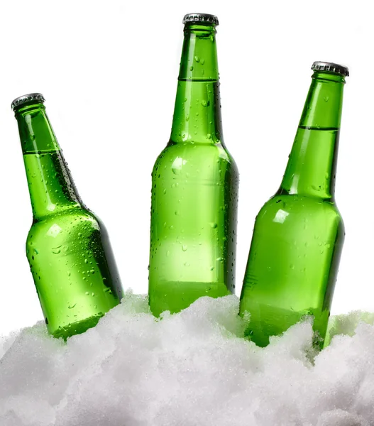 Beer bottles in snow — Stock Photo, Image