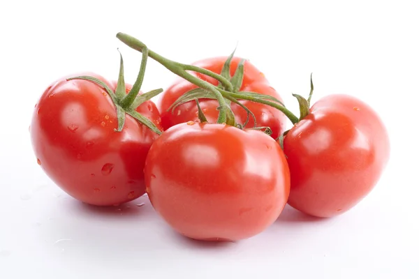 Frische Tomaten — Stockfoto