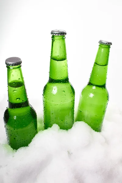 Beer bottles — Stock Photo, Image