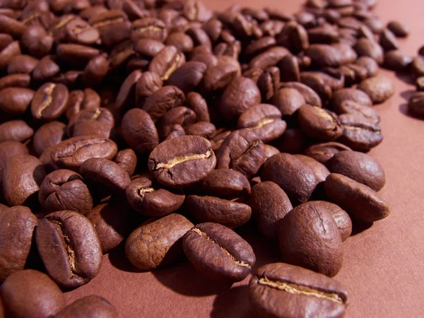 Coffee beans — Stock Photo, Image