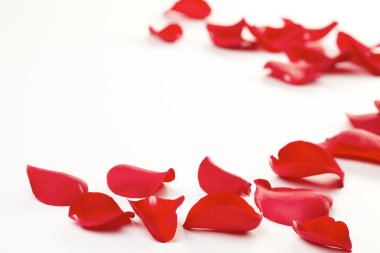 Gül Yaprakları Arkaplanı