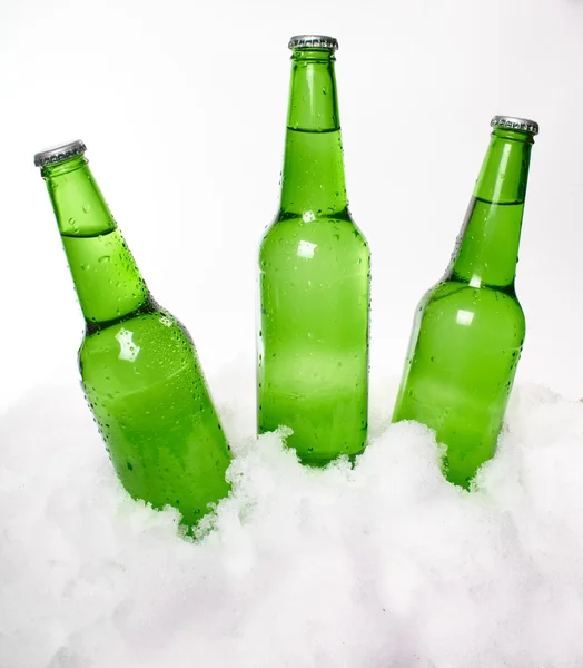 Beer bottles in snow — Stock Photo, Image