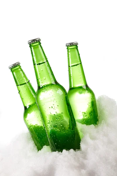 Beer bottles in snow — Stock Photo, Image