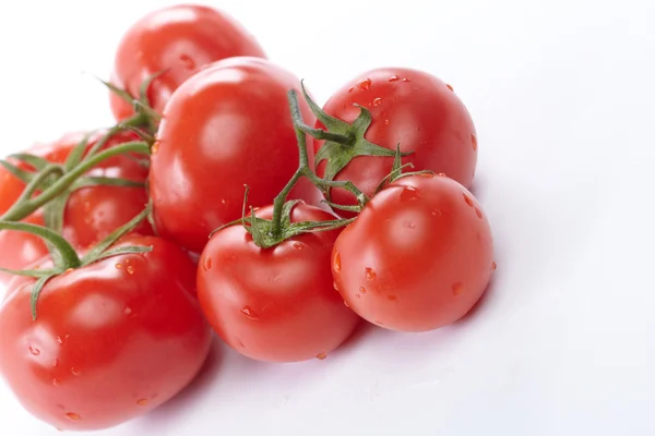 Verse tomaten — Stockfoto