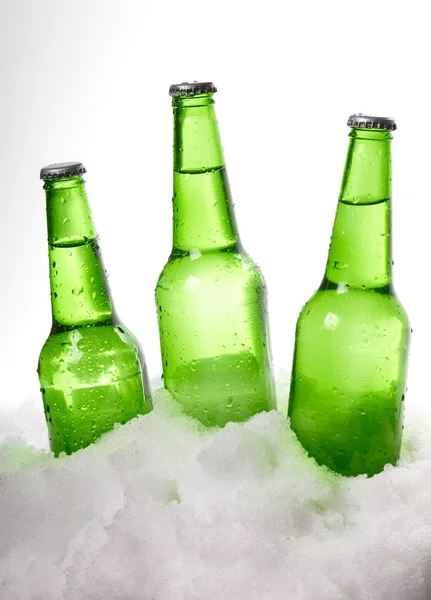 Beer bottles in snow — Stock Photo, Image