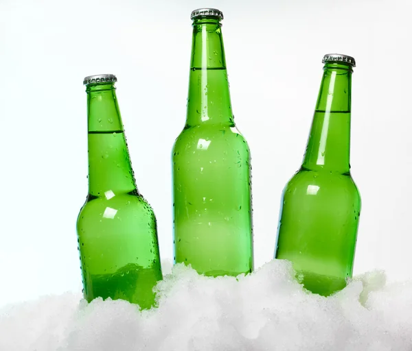 Botellas de cerveza en la nieve —  Fotos de Stock