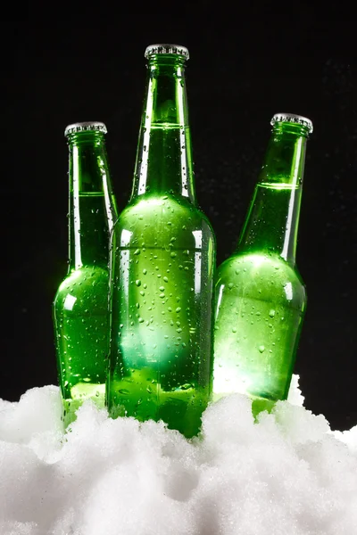 Пивні пляшки в снігу — стокове фото
