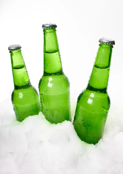 Botellas de cerveza en la nieve — Foto de Stock