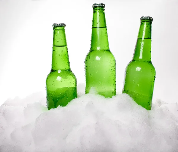 Bouteilles de bière dans la neige — Photo