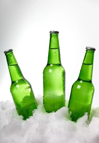 Bierflessen in sneeuw — Stockfoto