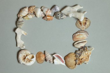 çerçeve deniz kabuklarını yaptı