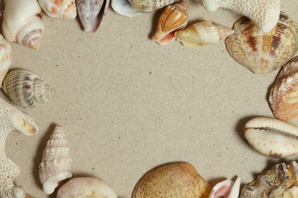 Frame made of seashells — Stock Photo, Image