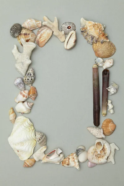 Frame made of seashells — Stock Photo, Image