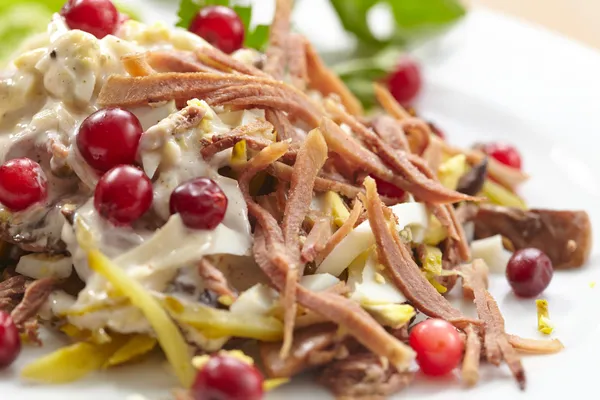 Salad with meat — Stock Photo, Image