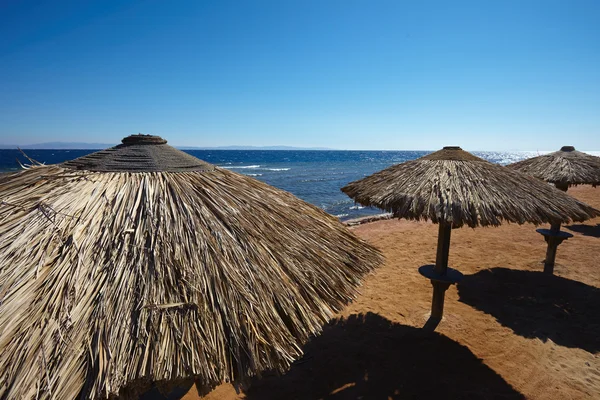 Sonnenschirm am Strand — Stockfoto