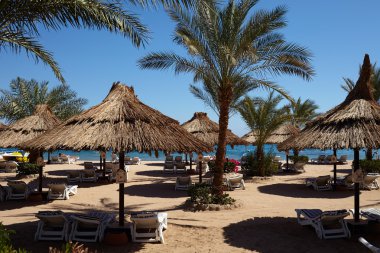 deniz manzarası üzerinde şemsiye ile sandalye