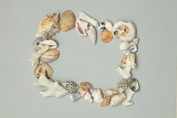 Frame made from seashells — Stock Photo, Image