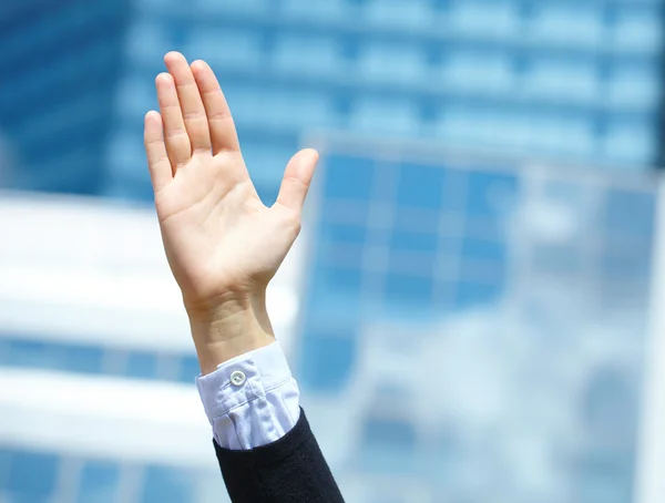 Business woman hands — стоковое фото