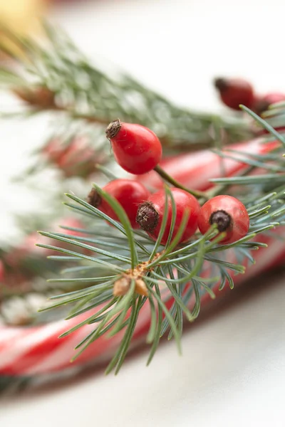 Weihnachtsdekoration — Stockfoto