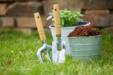 Bahçe aletleri yeşil çimlerin üzerinde bitki güneşli bir günde, sonbahar konsepti 