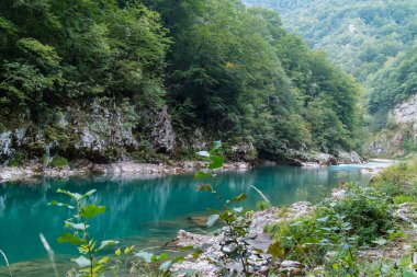 Karadağ 'daki dağ nehrinin güneşli bir günde manzarası