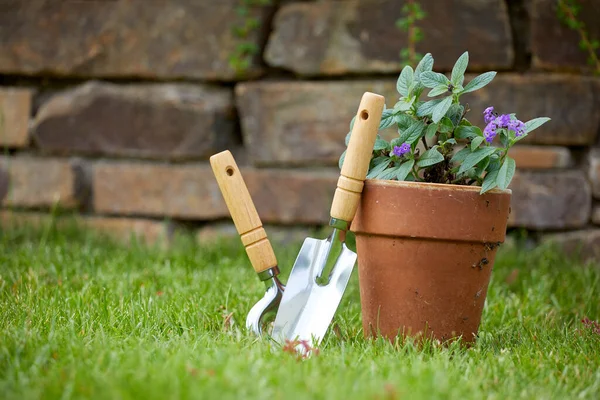 Κηπουρική Εργαλεία Φυτό Πράσινο Γρασίδι Στον Κήπο Την Ηλιόλουστη Μέρα — Φωτογραφία Αρχείου