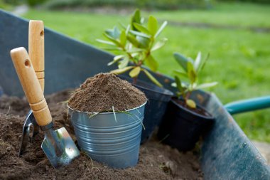 Bahçedeki bahçe aletleri ve bitkiler.