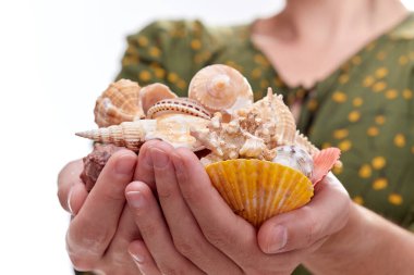 Kabuklu kadın beyaz tenli.