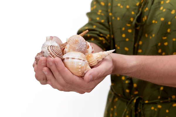 Woman Shells Isolated White — Stock Photo, Image