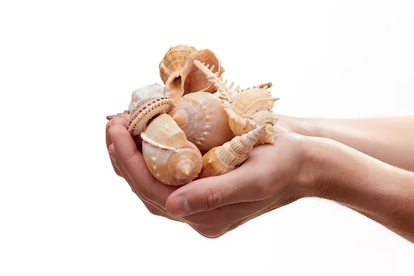 Mulher Com Conchas Isoladas Branco — Fotografia de Stock