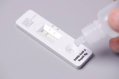 covid hızlı antikor test kiti