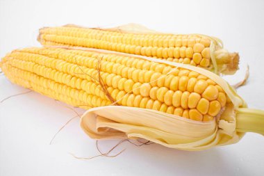 beyaz zemin üzerine taze Mısır