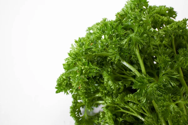 Fresh Parsley White Background — Stock Photo, Image