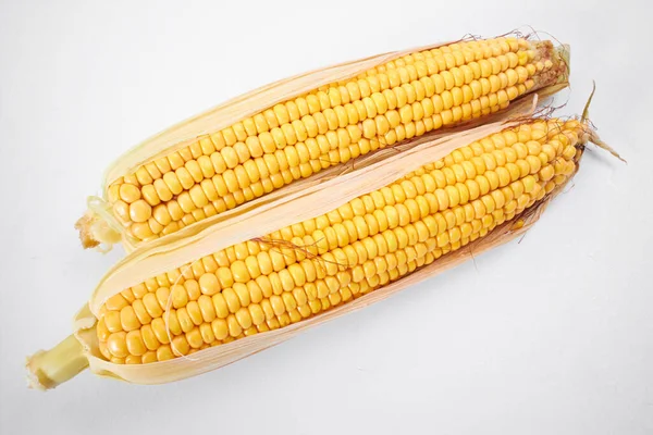 Frischer Mais Auf Weißem Hintergrund Stockfoto