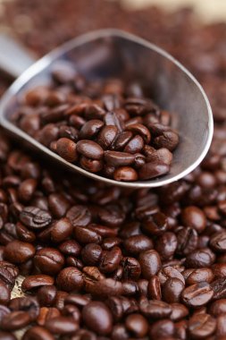 kaşık içinde kavrulmuş kahve çekirdekleri