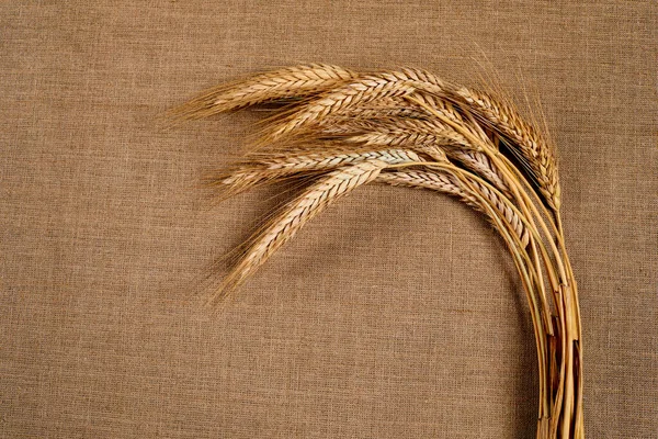 Closeup Wheat Ears Agriculture Concept — Stock Photo, Image