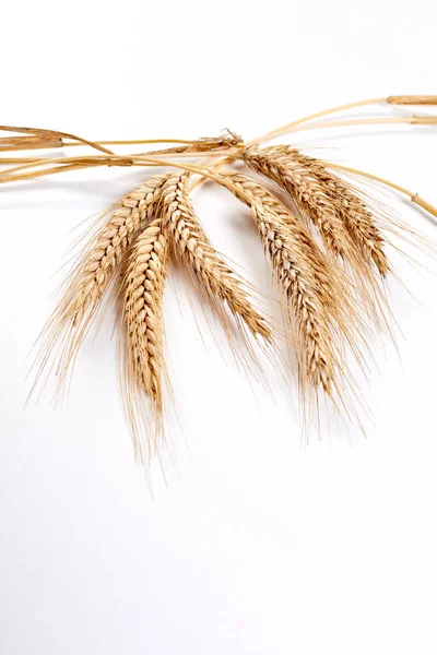 Closeup Wheat Ears Agriculture Concept — Stock Photo, Image