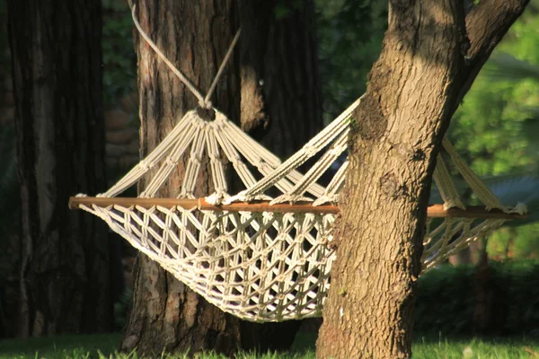 Hammock Stock Photo