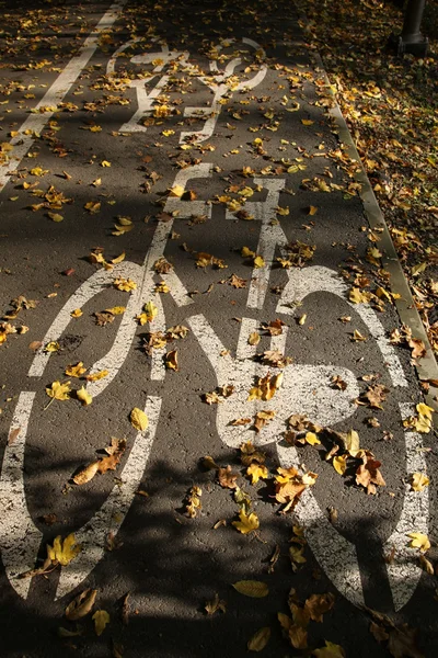 Bike road and leaves — Stock Photo, Image