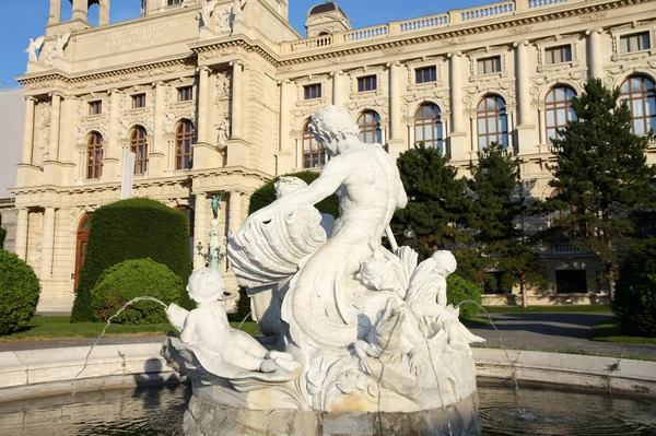 (natuurlijke geschiedenismuseum) Kunsthistorisches museum in Wenen, aus — Stockfoto