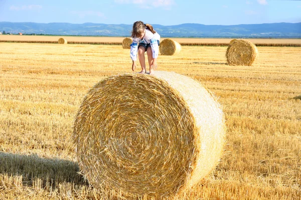 Niña rural pequeña en la paja después del campo de cosecha con paja bal —  Fotos de Stock