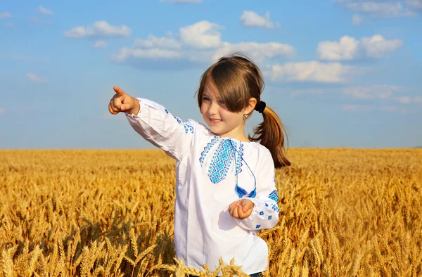 Small rural girl on wheat field — Stock Photo, Image