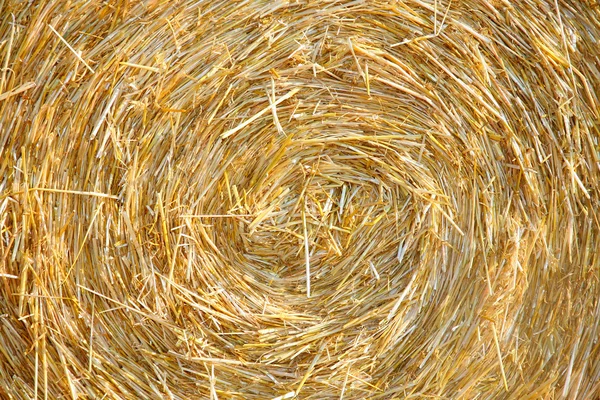 Detials close up shot of Wheat Haystack in farmer field — Stock Photo, Image