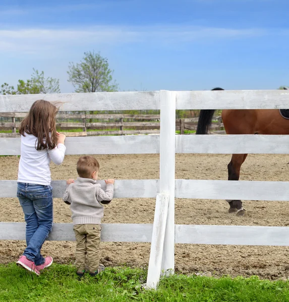 Pré-adolescent fille et bébé garçon sur l 'un blanc piquet clôture à côté de th — Photo