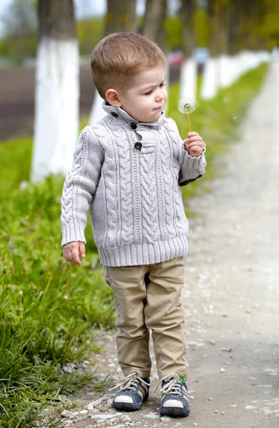 2 years old Baby boy with dandelion — Stock Photo, Image