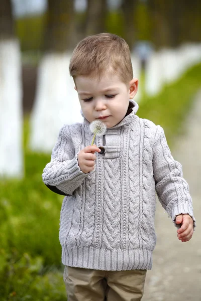 2 years old Baby boy with dandelion — Stock Photo, Image
